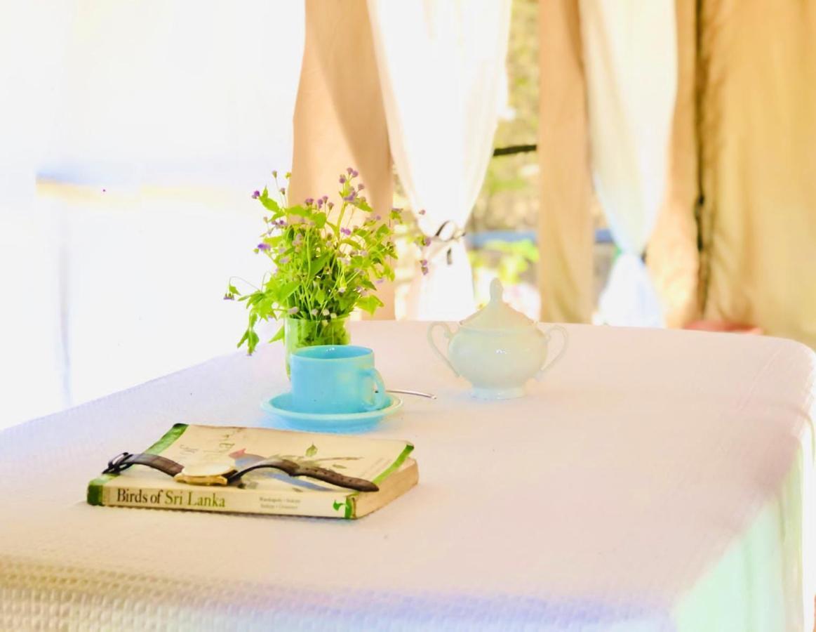 Eden Yala Otel Dış mekan fotoğraf