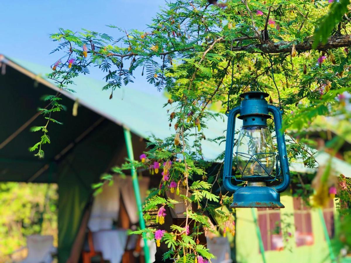 Eden Yala Otel Dış mekan fotoğraf