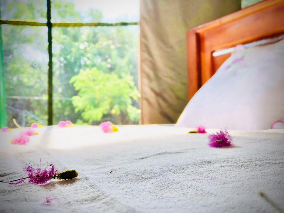 Eden Yala Otel Dış mekan fotoğraf