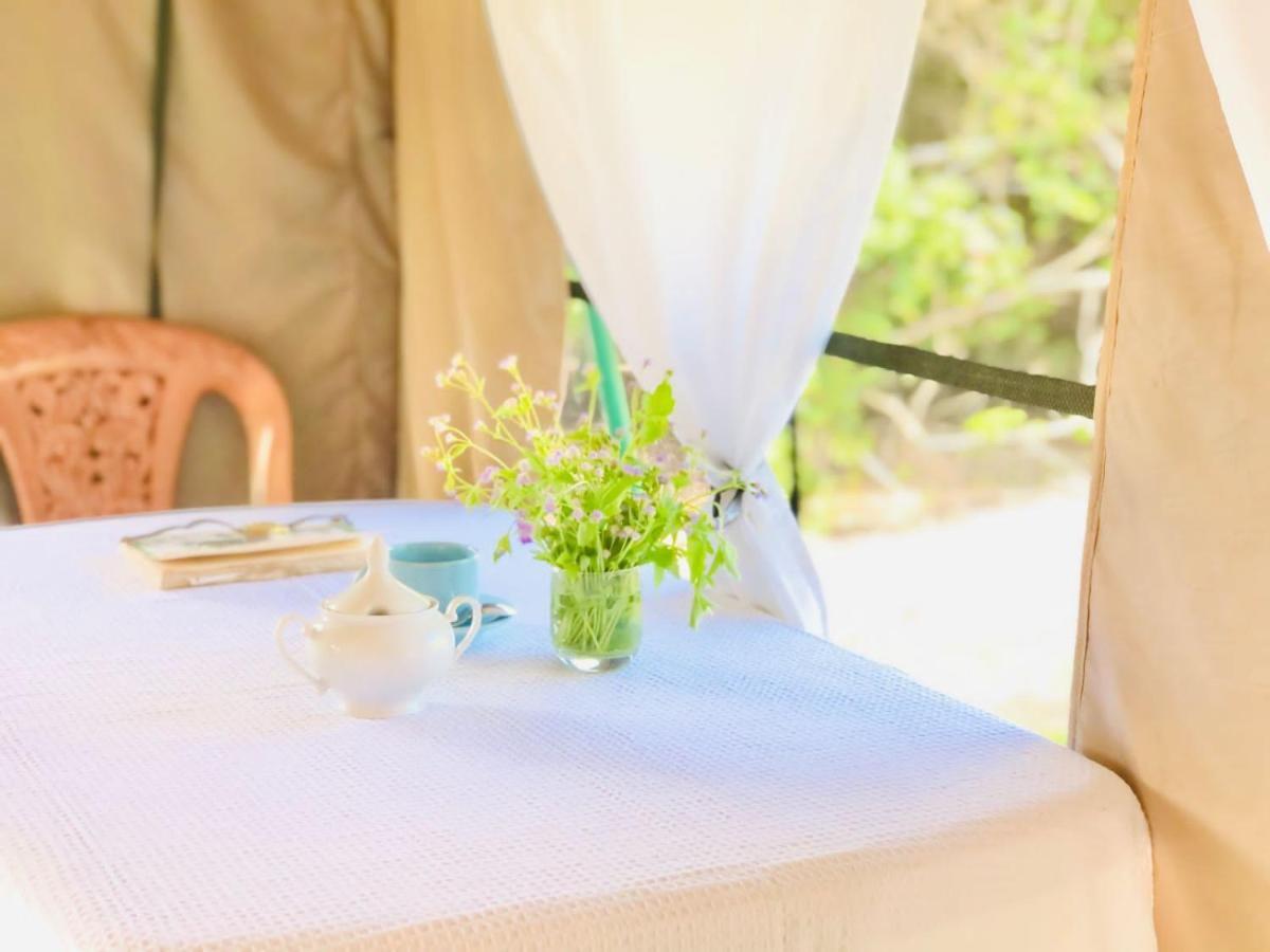 Eden Yala Otel Dış mekan fotoğraf