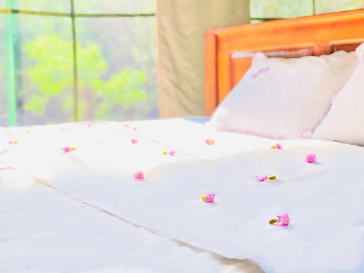 Eden Yala Otel Dış mekan fotoğraf