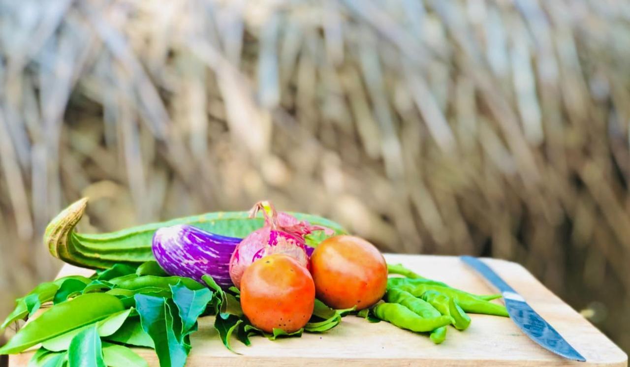 Eden Yala Otel Dış mekan fotoğraf