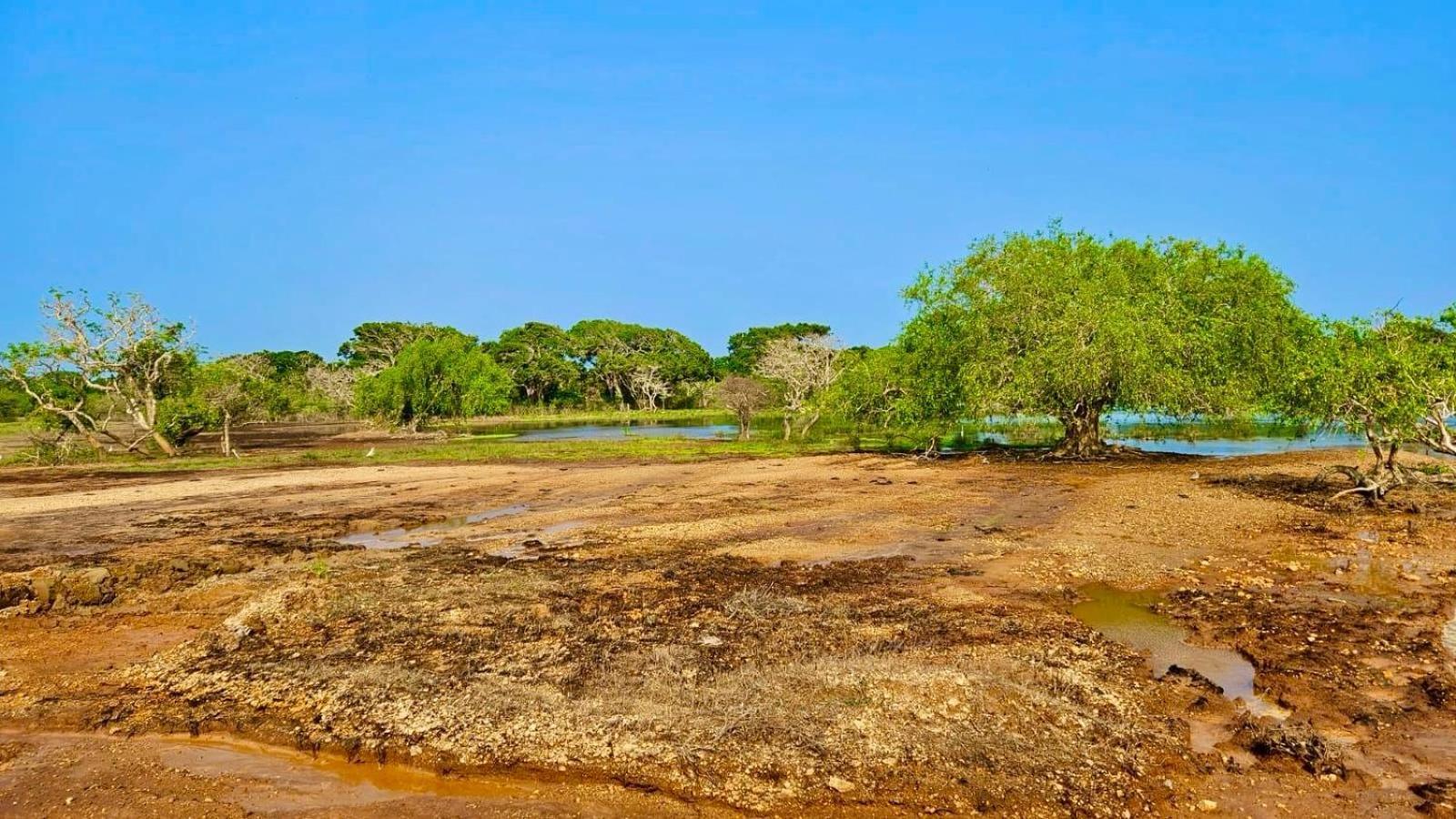 Eden Yala Otel Dış mekan fotoğraf