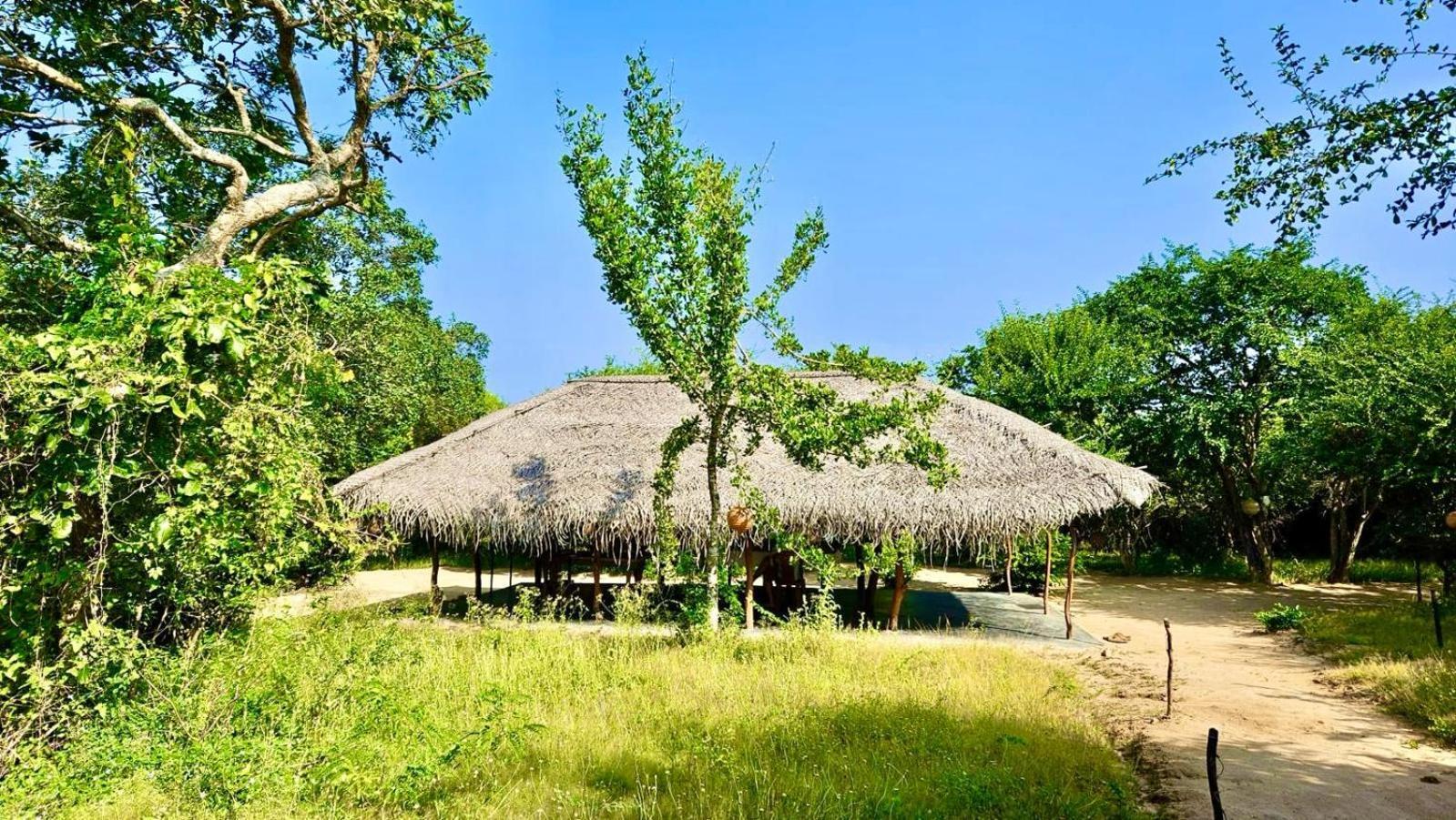 Eden Yala Otel Dış mekan fotoğraf